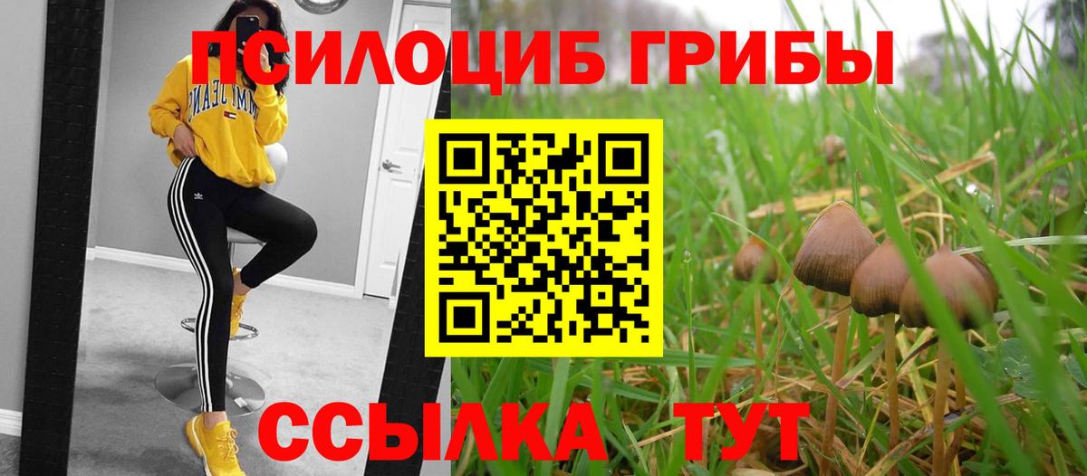 Псилоцибиновые грибы Cubensis  Вход с VPN  Галлюциногенные грибы Magic Shrooms  Ахтубинск 